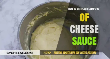 Removing Flour Lumps from Cheese Sauce: Quick Fix