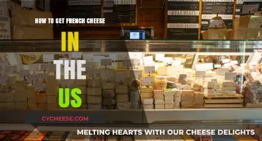 The Best French Cheeses in the US: A Guide