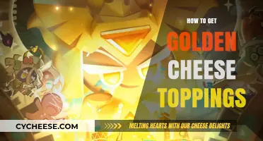 Golden Cheese Toppings: Achieving the Ultimate Deliciousness