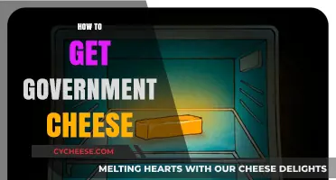 Obtaining Government Cheese: A Guide to Eligibility and Access