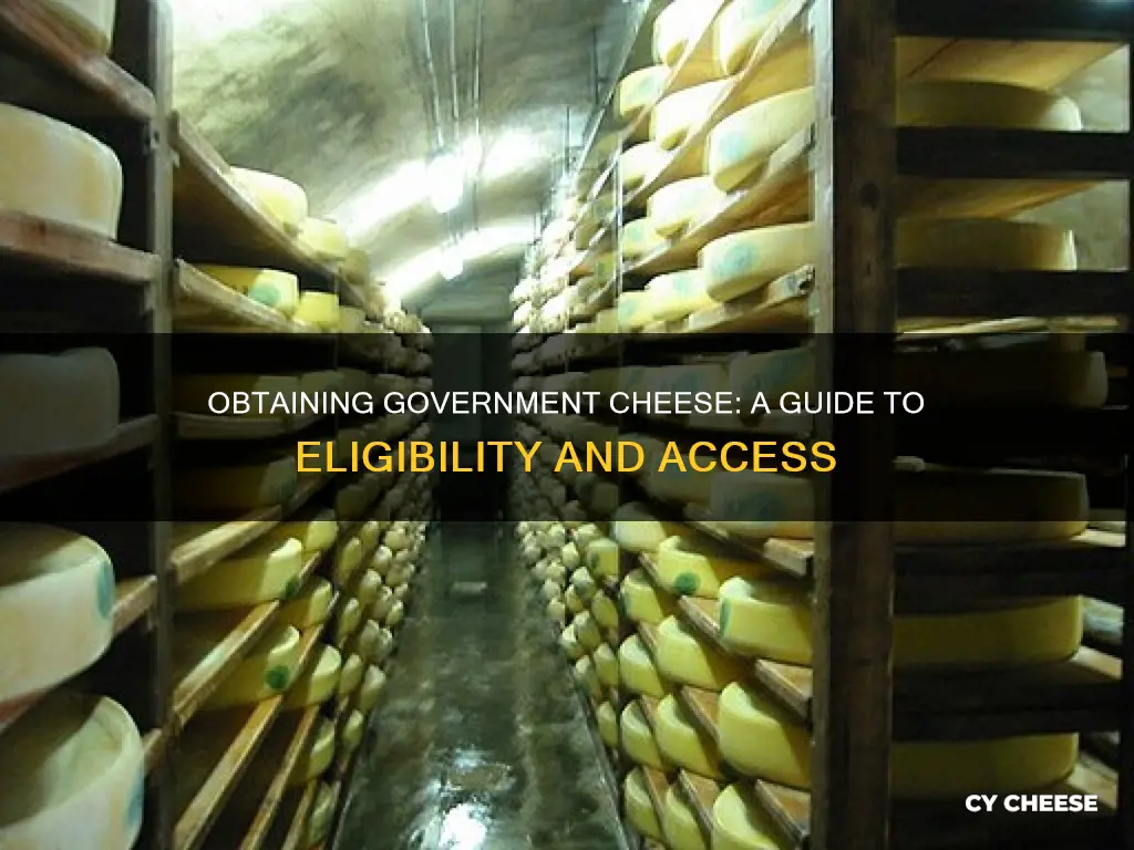 how to get government cheese