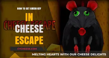 Cheese Escape: Getting the Green Key