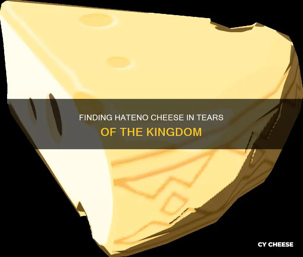 how to get hateno cheese tears of the kingdom