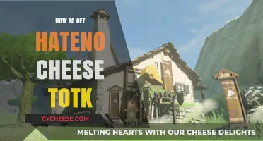 Get Hateno's Cheese with a Simple Trick