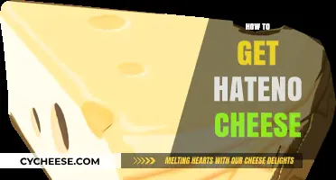 Finding Hateno Cheese: A Guide to Delicious Success