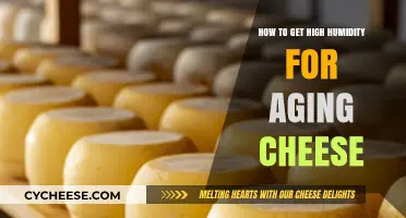 The Perfect Humidity for Aging Cheese at Home