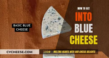 Exploring Blue Cheese: A Beginner's Guide to Flavor