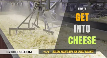 Cheese Exploration: A Beginner's Guide to Cheeses