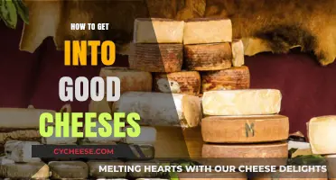 Cheese Exploration: Discovering the World of Fine Cheeses