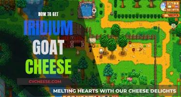 Uncover the Secrets: A Guide to Crafting Iridium Goat Cheese