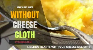 Extracting Juice Without Cheesecloth: Easy Hacks and Tricks