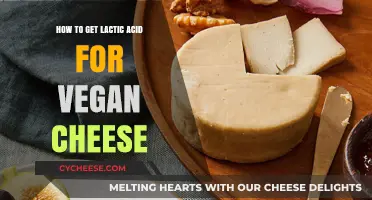 Lactic Acid for Vegan Cheese: A Guide to Sources