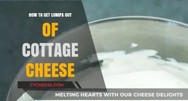Smooth Cottage Cheese: Quick Tips to Remove Lumps Easily