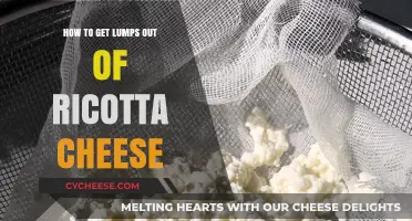 Smoothening Ricotta: Removing Lumps Easily