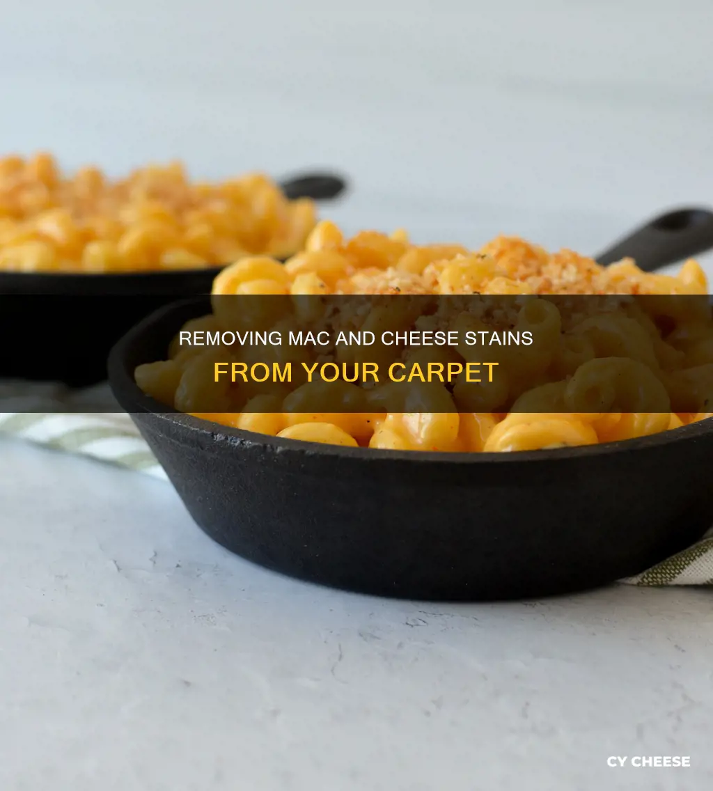 how to get macaroni and cheese stains out of carpet