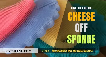 Removing Melted Cheese from a Sponge: Effective Techniques