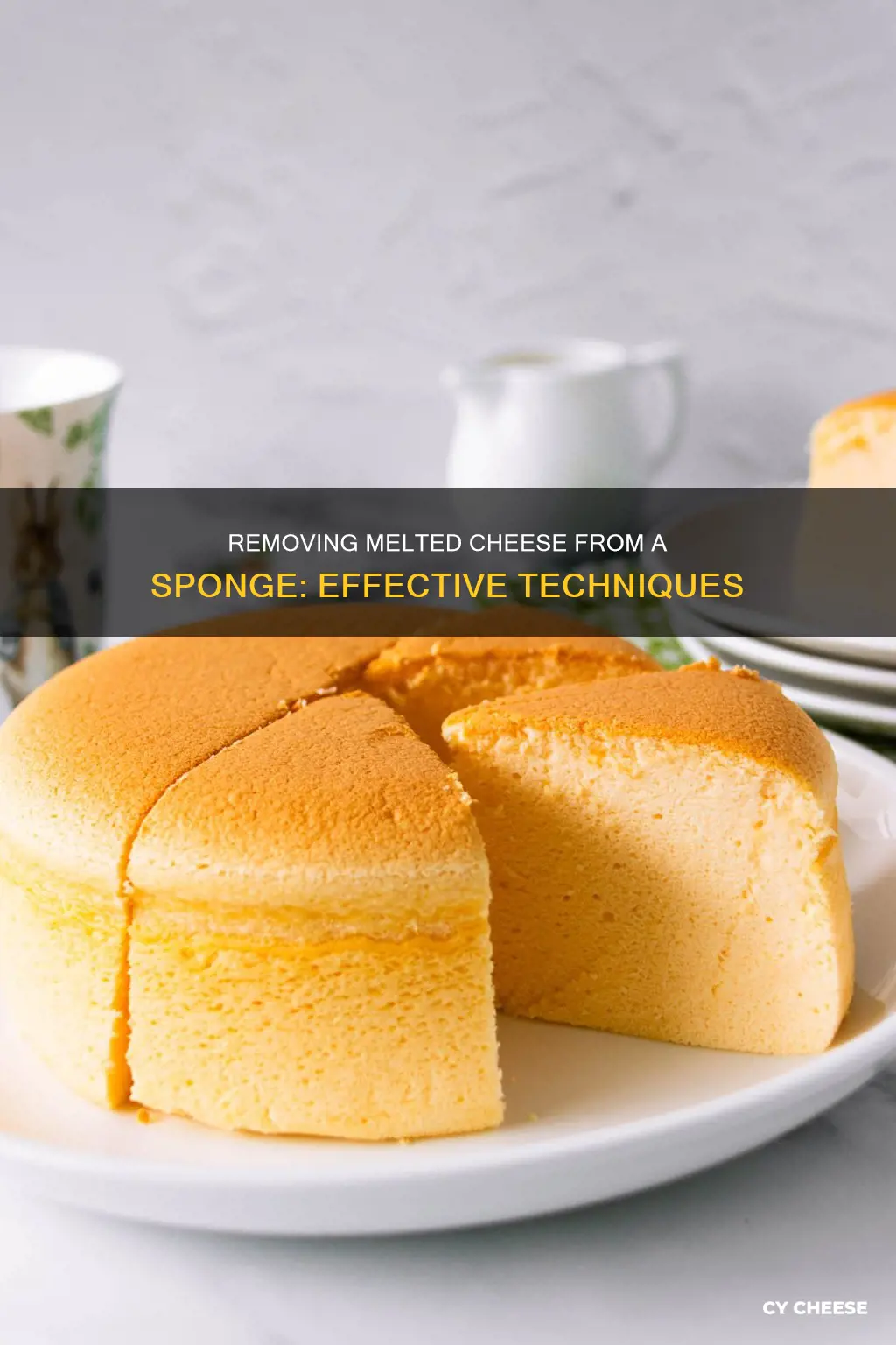 how to get melted cheese off sponge