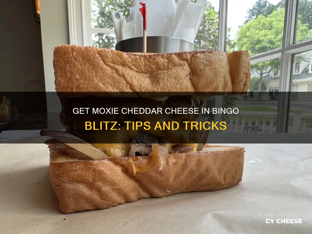 how to get moxie cheddar cheese bingo blitz