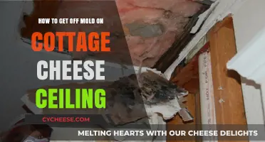Effective Ways to Remove Mold from Cottage Cheese Ceilings