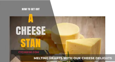 The Ultimate Guide to Removing Cheese Stains