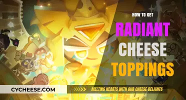 Cheese Toppings: Achieving Radiant Results