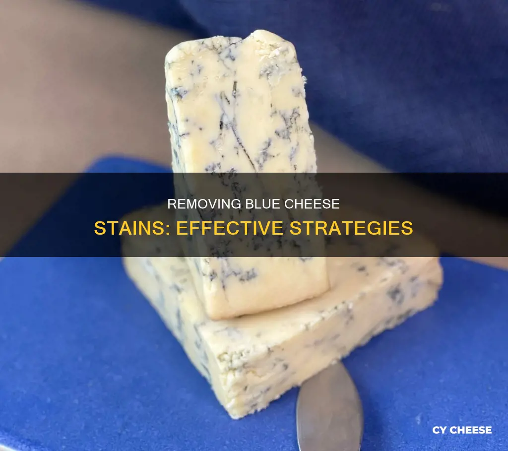 how to get rid of a blue cheese stain
