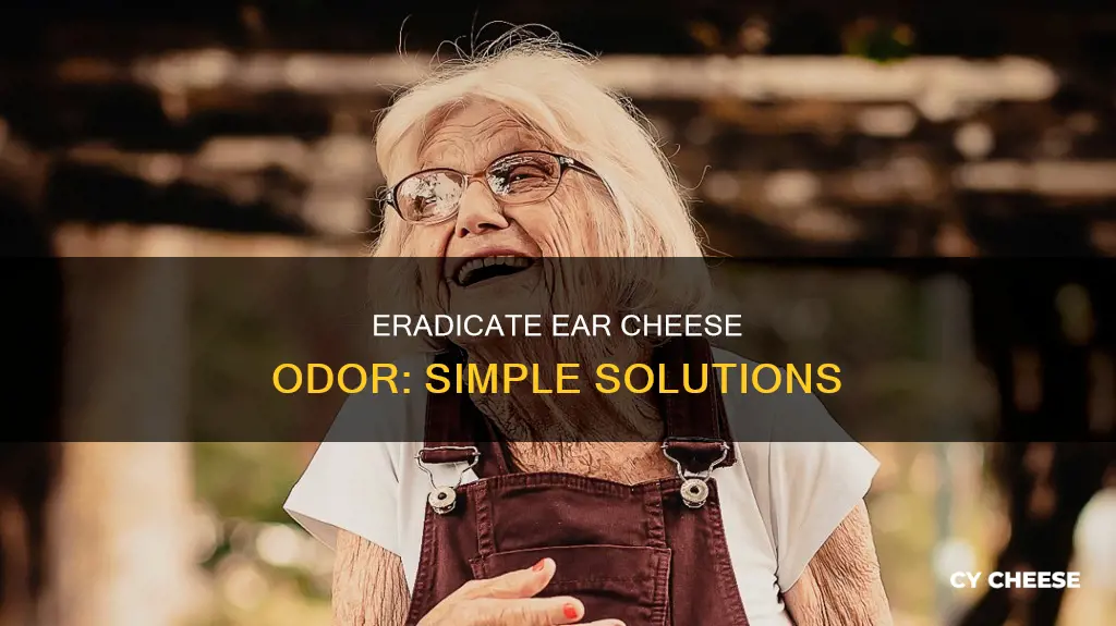 how to get rid of cheese smell behind ears