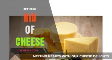 Eliminating Cheese: A Guide to Dairy-Free Living