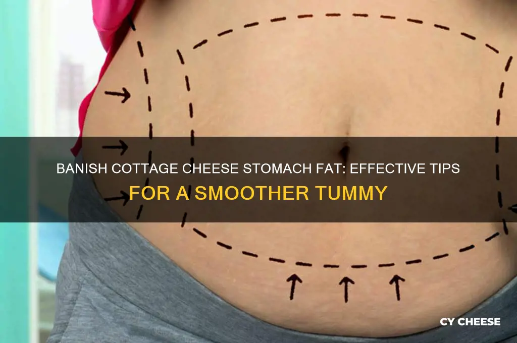 how to get rid of cottage cheese fat on stomach