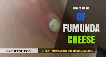 Eradicate Funk: Tips to Beat Fumunda Cheese