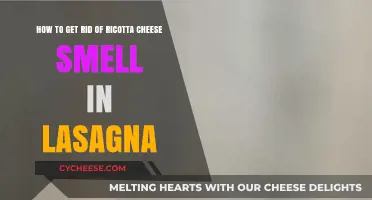Neutralizing Ricotta: Fresh Tips for Odor-Free Lasagna