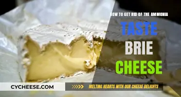Eliminating Ammonia Taste from Brie Cheese