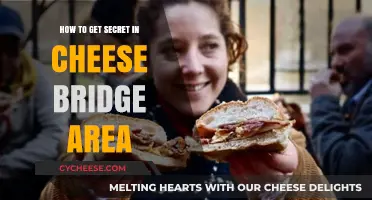Unlocking Cheese Bridge's Secrets: A Guide