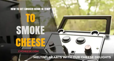 Smoking Cheese: Lowering Temperature for Perfect Results