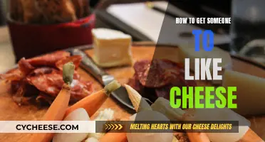 Convincing Others to Love Cheese: A Tasty Guide