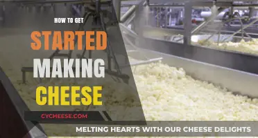 Cheese-making: A Beginner's Guide to Getting Started