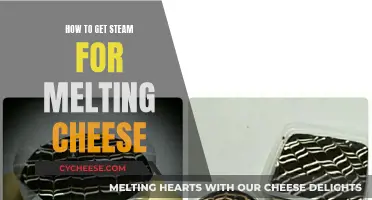 Melting Cheese: Steam Techniques for the Perfect Fondue