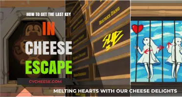 Cheese Escape: Unlocking the Last Key