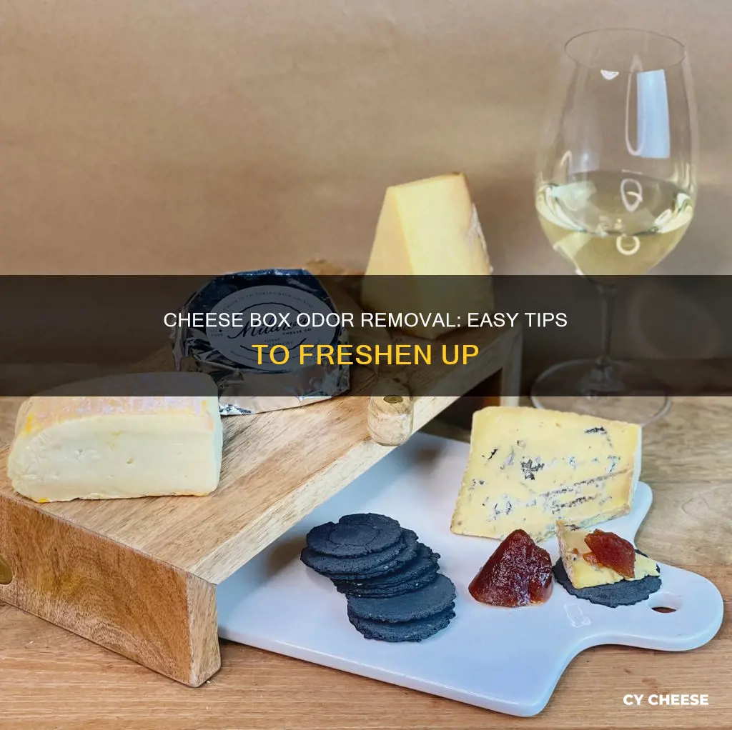 how to get the smell out of big cheese boxes