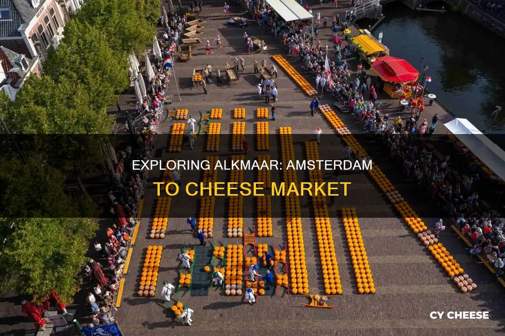 how to get to alkmaar cheese market from amsterdam