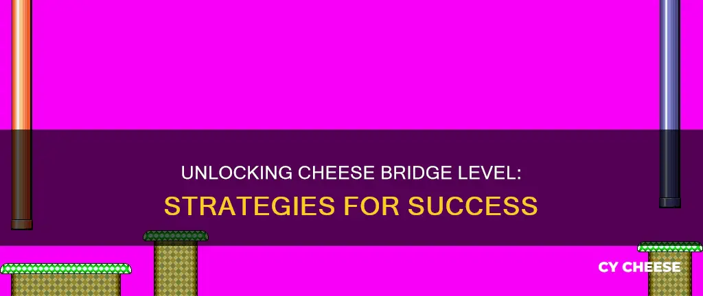 how to get to cheese bridge level