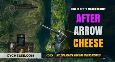 Finding Manus Bonfire: Strategies After Arrow Cheese