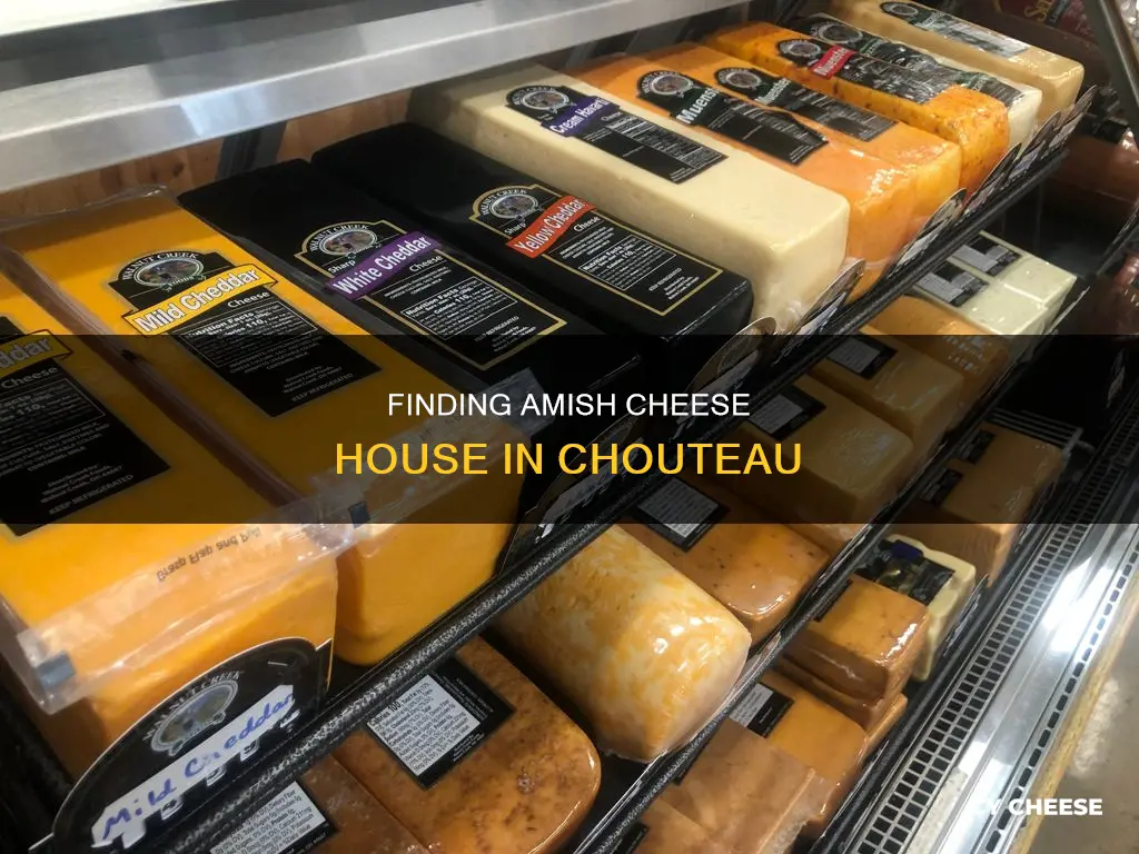 how to get to the amish cheese house chouteau