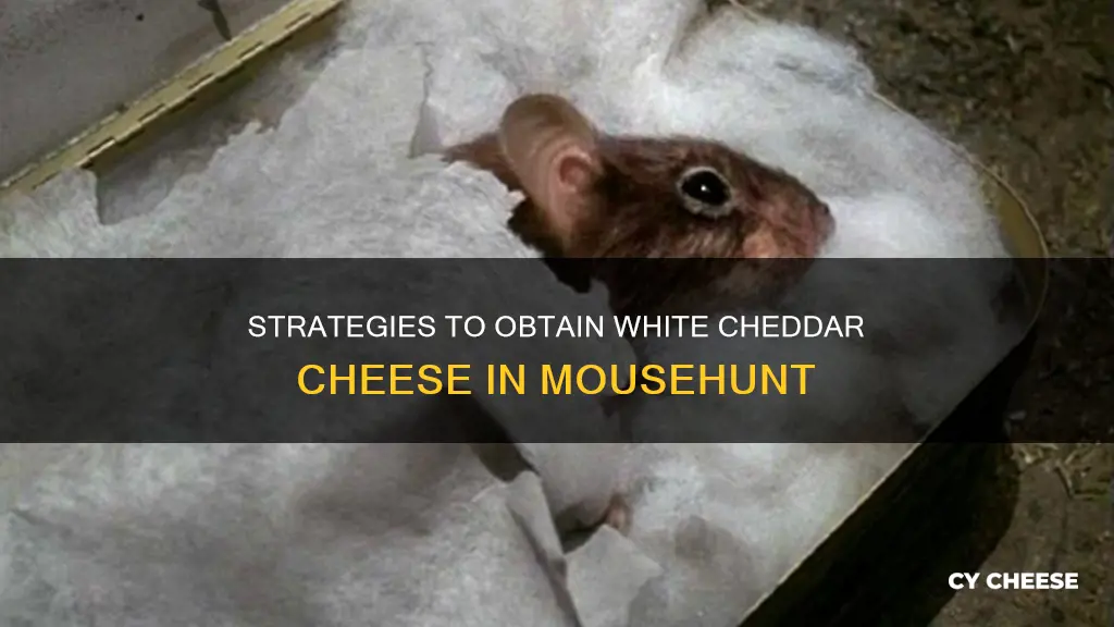 how to get white cheddar cheese mousehunt