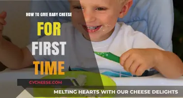 Introducing Cheese to Your Baby: A First-Time Parent’s Guide