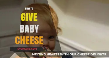 Introducing Cheese to Your Baby: A Safe and Tasty Guide