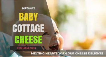Introducing Cottage Cheese to Your Baby: A Simple, Nutritious Guide