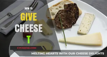 Mastering the Art of Giving Cheese: Tips for Perfect Pairings & Presentation