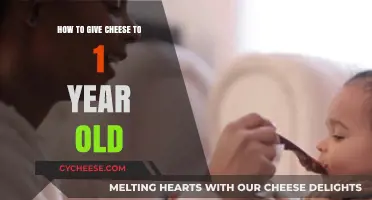 Safe Cheese Feeding Tips for Your One-Year-Old Baby