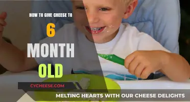 Introducing Cheese to Your 6-Month-Old: A Safe and Tasty Guide